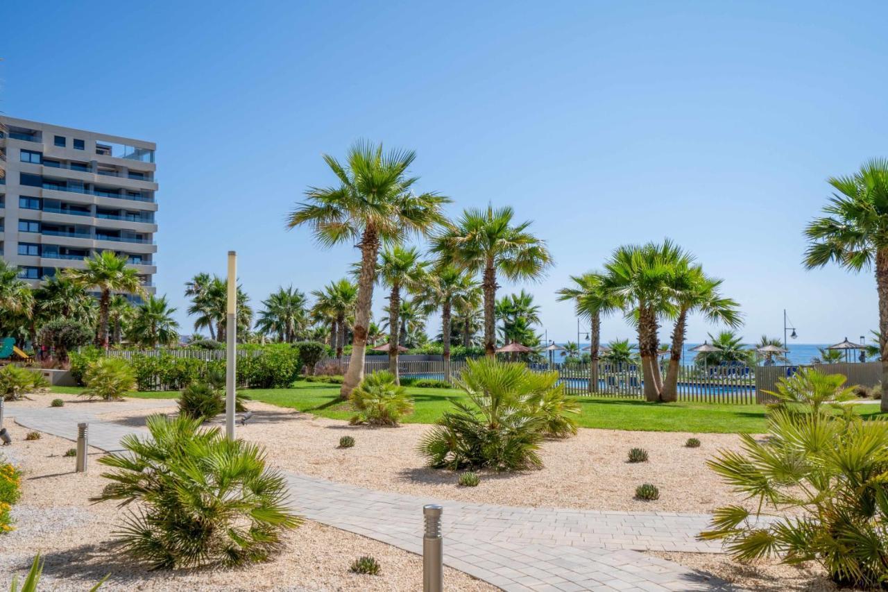 Lujoso De 3 Apartment Torrevieja